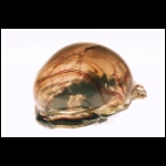 Inside Saturn 7x8x7 in.jpg